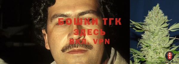 дурь Новодвинск