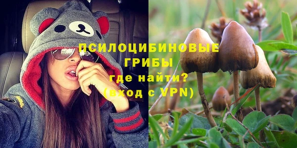 прущие крисы Карпинск